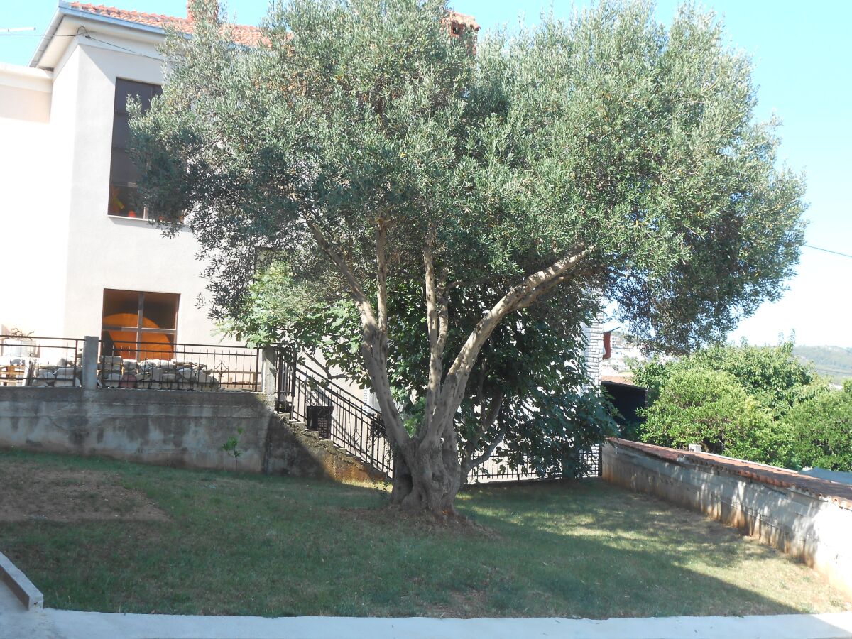 Apartment Two bedroom apartment with terrace and sea view Okrug Gornji, Čiovo A-13859-b - Outdoor photo 5