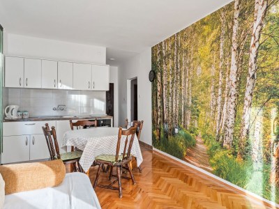 Apartment One bedroom apartment near beach Grebaštica, Šibenik A-13942-b - Outdoor photo 10