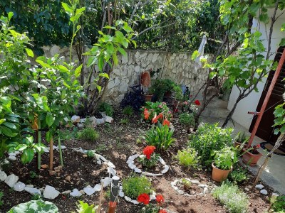 Apartment One bedroom apartment with terrace Bušinci, Čiovo A-1081-a - Outdoor photo 14