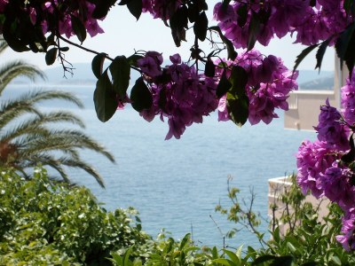 Apartment Two bedroom apartment with terrace and sea view Seget Vranjica, Trogir A-2037-a - Outdoor photo 28
