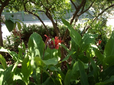 Apartment Two bedroom apartment with terrace and sea view Seget Vranjica, Trogir A-2037-a - Outdoor photo 29
