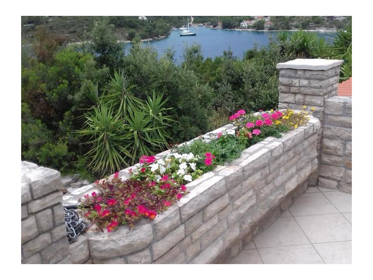 Apartment Two bedroom apartment with terrace and sea view Nečujam, Šolta A-2089-a - Outdoor photo 2