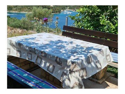 Apartment Two bedroom apartment with terrace and sea view Nečujam, Šolta A-2089-a - Outdoor photo 10