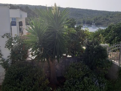 Apartment Two bedroom apartment with terrace and sea view Nečujam, Šolta A-2089-a - Outdoor photo 14