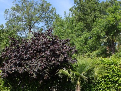 Apartment One bedroom apartment with terrace and sea view Lovran, Opatija A-2303-b - Outdoor photo 22