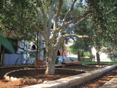 Apartment Two bedroom apartment with terrace and sea view Rukavac, Vis A-2411-a - Outdoor photo 10