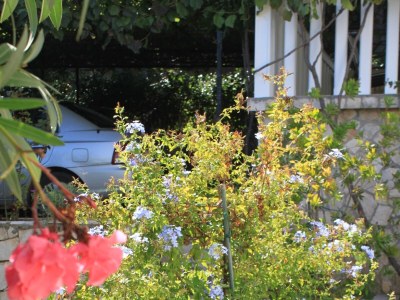 Apartment Two bedroom apartment with terrace and sea view Rukavac, Vis A-2411-a - Outdoor photo 11