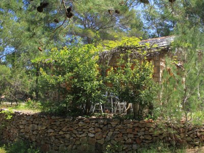 Holiday house One bedroom house near beach Cove Grebišće, Hvar K-3375 - Outdoor photo 8