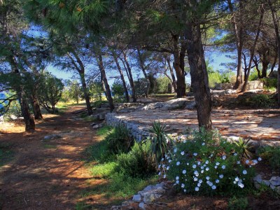 Holiday house One bedroom house near beach Cove Grebišće, Hvar K-3375 - Outdoor photo 12