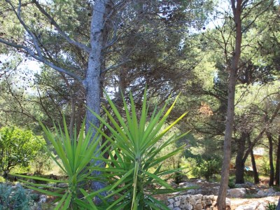 Holiday house One bedroom house near beach Cove Grebišće, Hvar K-3375 - Outdoor photo 14