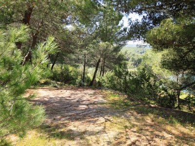 Holiday house One bedroom house near beach Cove Grebišće, Hvar K-3375 - Outdoor photo 16