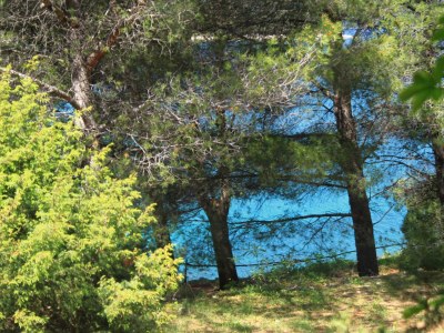 Holiday house One bedroom house near beach Cove Grebišće, Hvar K-3375 - Outdoor photo 29