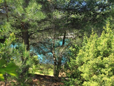 Holiday house One bedroom house near beach Cove Grebišće, Hvar K-3375 - Outdoor photo 30