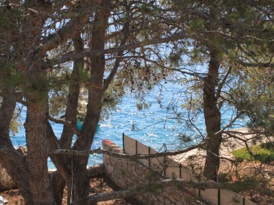 Apartment Three bedroom apartment near beach Lavdara, Dugi otok A-3454-a - Outdoor photo 25