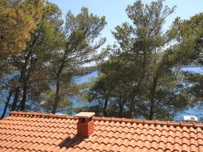 Apartment Three bedroom apartment near beach Lavdara, Dugi otok A-3454-a - Outdoor photo 26