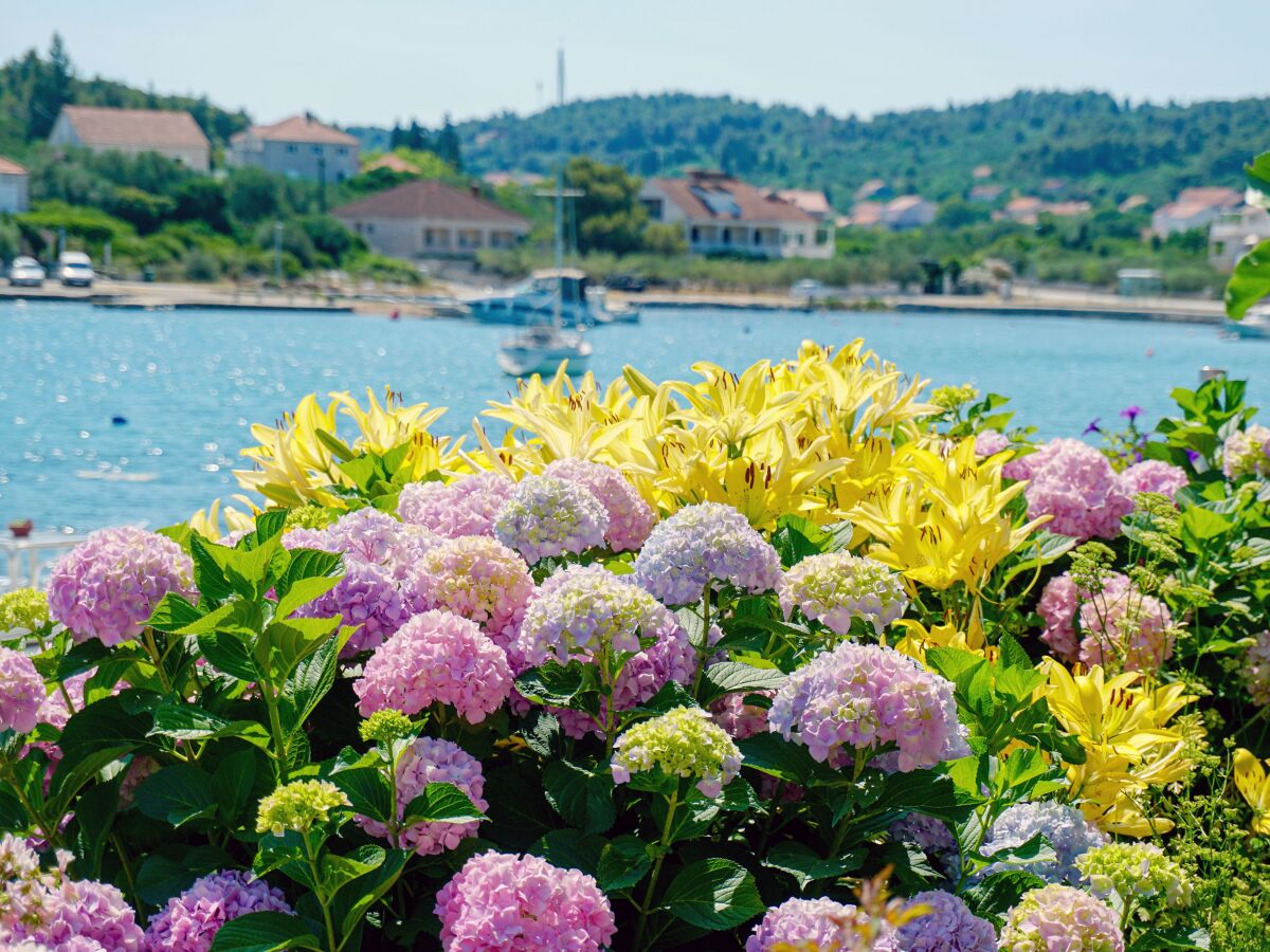 Apartment Two bedroom apartment near beach Lumbarda, Korčula A-3554-a