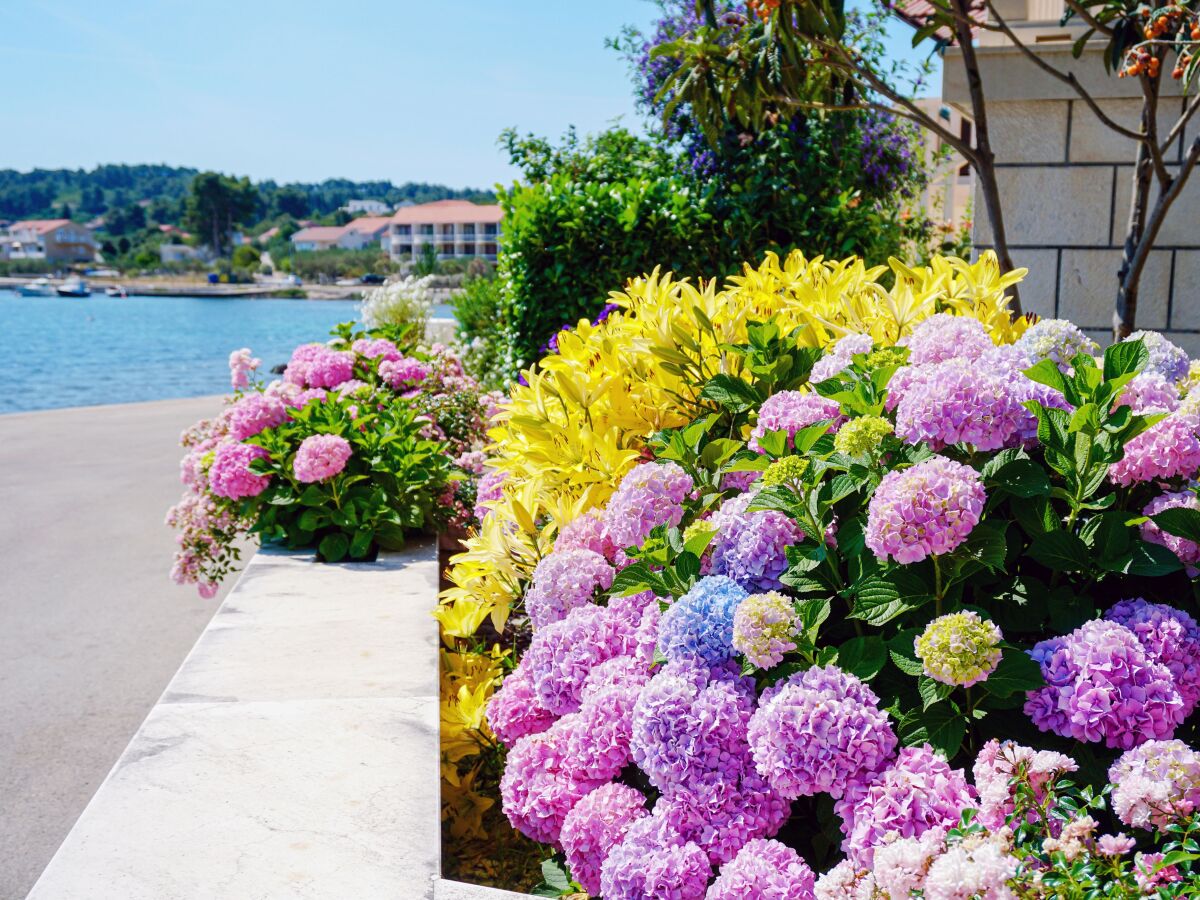 Apartment Two bedroom apartment near beach Lumbarda, Korčula A-3554-a - Outdoor photo 5