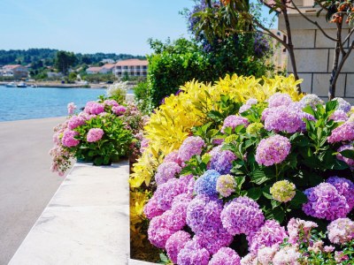 Apartment Two bedroom apartment near beach Lumbarda, Korčula A-3554-a - Outdoor photo 5