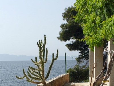 Holiday house Four-bedroom house near beach Cove Lučica, Hvar K-4034 - Outdoor photo 7