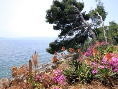 Holiday house Four-bedroom house near beach Cove Lučica, Hvar K-4034 - Outdoor photo 8