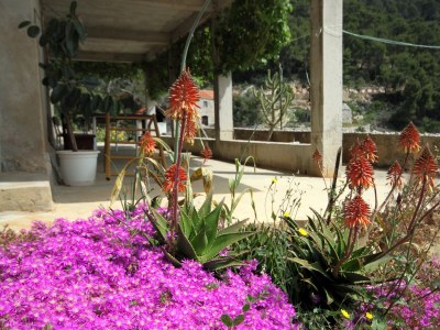 Holiday house Four-bedroom house near beach Cove Lučica, Hvar K-4034 - Outdoor photo 9