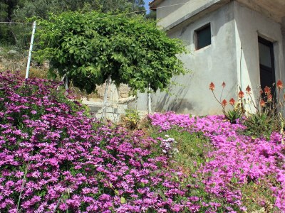 Holiday house Four-bedroom house near beach Cove Lučica, Hvar K-4034 - Outdoor photo 10