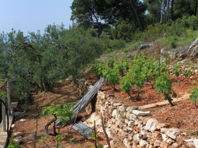 Holiday house Four-bedroom house near beach Cove Lučica, Hvar K-4034 - Outdoor photo 14