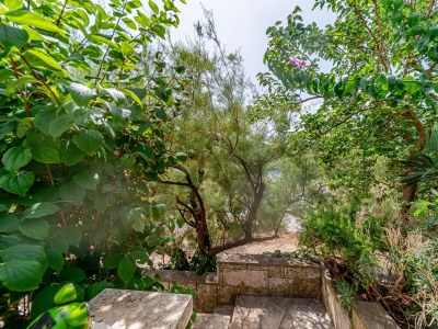 Holiday house Four-bedroom house near beach Cove Rasohatica, Korčula K-4386 - Outdoor photo 37