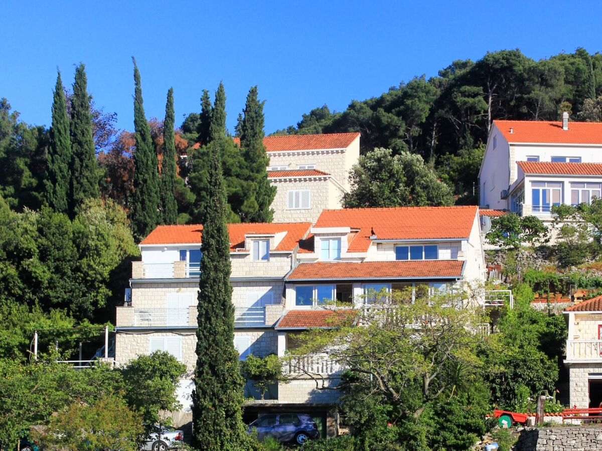Apartment One bedroom apartment with terrace and sea view Medvinjak, Korčula A-4439-a - Outdoor photo 2