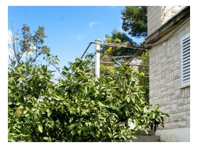 Apartment One bedroom apartment with terrace and sea view Medvinjak, Korčula A-4439-a - Outdoor photo 9