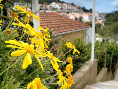 Apartment One bedroom apartment with terrace and sea view Medvinjak, Korčula A-4439-a - Outdoor photo 12