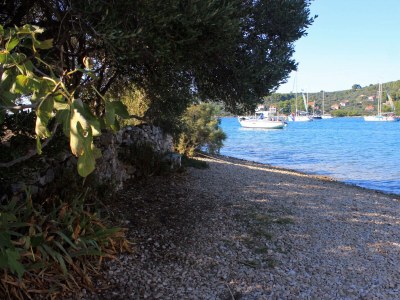 Holiday house Three bedroom house near beach Cove Gradina, Korčula K-4457 - Outdoor photo 17