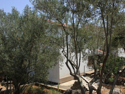 Apartment Two bedroom apartment near beach Cove Mala Lamjana, Ugljan A-347-b - Outdoor photo 6