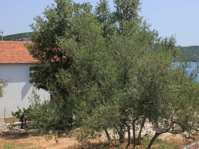 Apartment Two bedroom apartment near beach Cove Mala Lamjana, Ugljan A-347-b - Outdoor photo 8