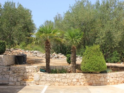 Apartment Two bedroom apartment near beach Cove Mala Lamjana, Ugljan A-347-b - Outdoor photo 9