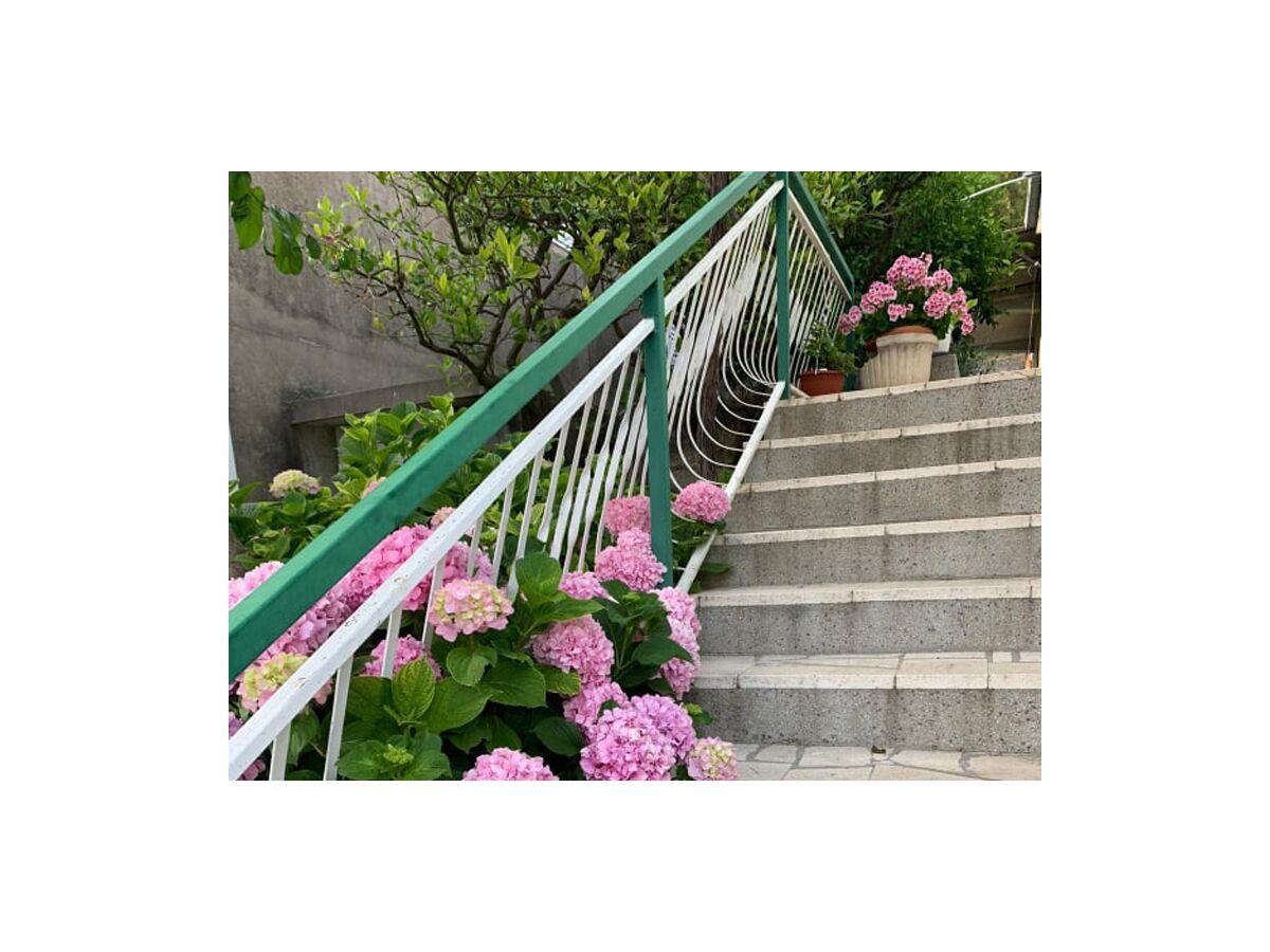 Apartment Two bedroom apartment near beach Kučište - Perna, Pelješac A-4540-a - Outdoor photo 4