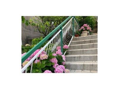 Apartment Two bedroom apartment near beach Kučište - Perna, Pelješac A-4540-a - Outdoor photo 4