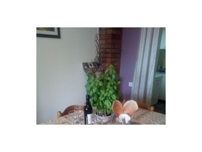 Apartment Two bedroom apartment near beach Kučište - Perna, Pelješac A-4540-a - Outdoor photo 10