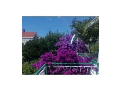 Apartment Two bedroom apartment near beach Kučište - Perna, Pelješac A-4540-a - Outdoor photo 21