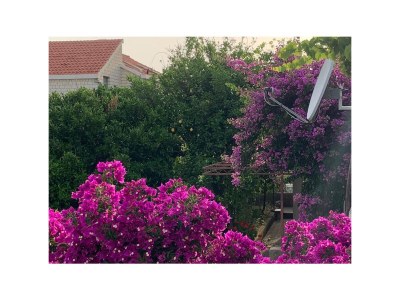 Apartment Two bedroom apartment near beach Kučište - Perna, Pelješac A-4540-a - Outdoor photo 25