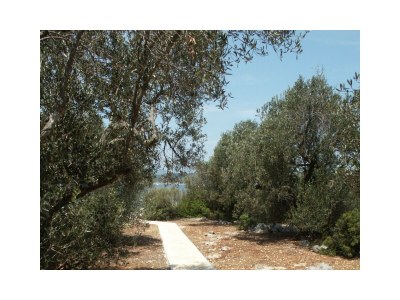 Holiday house Two bedroom house near beach Krknata, Dugi otok K-399 - Outdoor photo 9