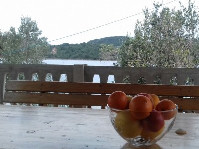 Holiday house Two bedroom house near beach Krknata, Dugi otok K-399 - Outdoor photo 23