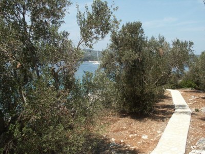 Holiday house Two bedroom house near beach Krknata, Dugi otok K-399 - Outdoor photo 26