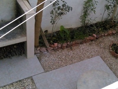 Apartment Two bedroom apartment with terrace Bol, Brač A-4658-a - Outdoor photo 44