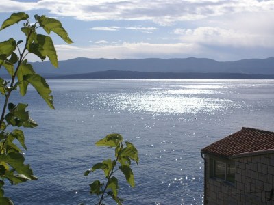 Apartment Two bedroom apartment near beach Bol, Brač A-2905-a - Outdoor photo 28