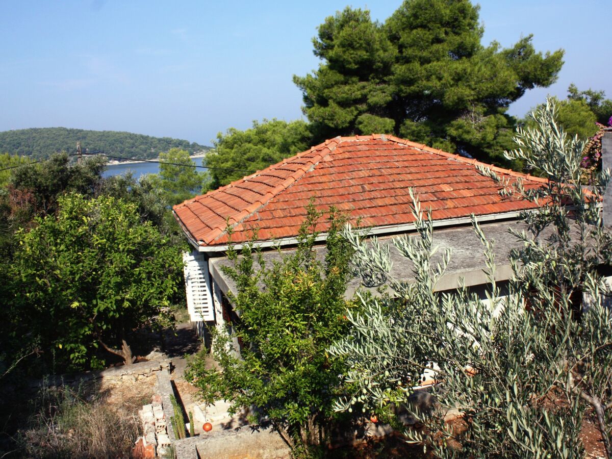 Apartment Three bedroom apartment near beach Nečujam, Šolta A-5186-a - Outdoor photo 5