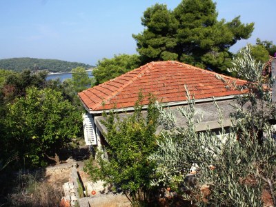 Apartment Three bedroom apartment near beach Nečujam, Šolta A-5186-a - Outdoor photo 5