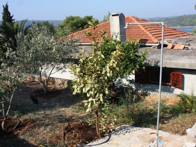 Apartment Three bedroom apartment near beach Nečujam, Šolta A-5186-a - Outdoor photo 8