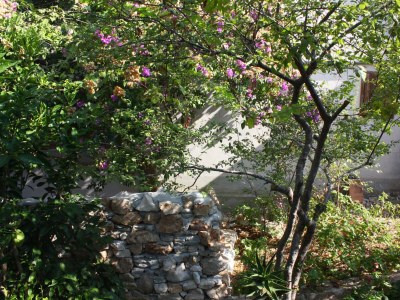 Apartment Three bedroom apartment near beach Nečujam, Šolta A-5186-a - Outdoor photo 29