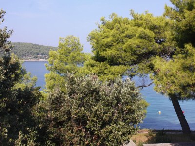 Apartment Three bedroom apartment near beach Nečujam, Šolta A-5186-a - Outdoor photo 33